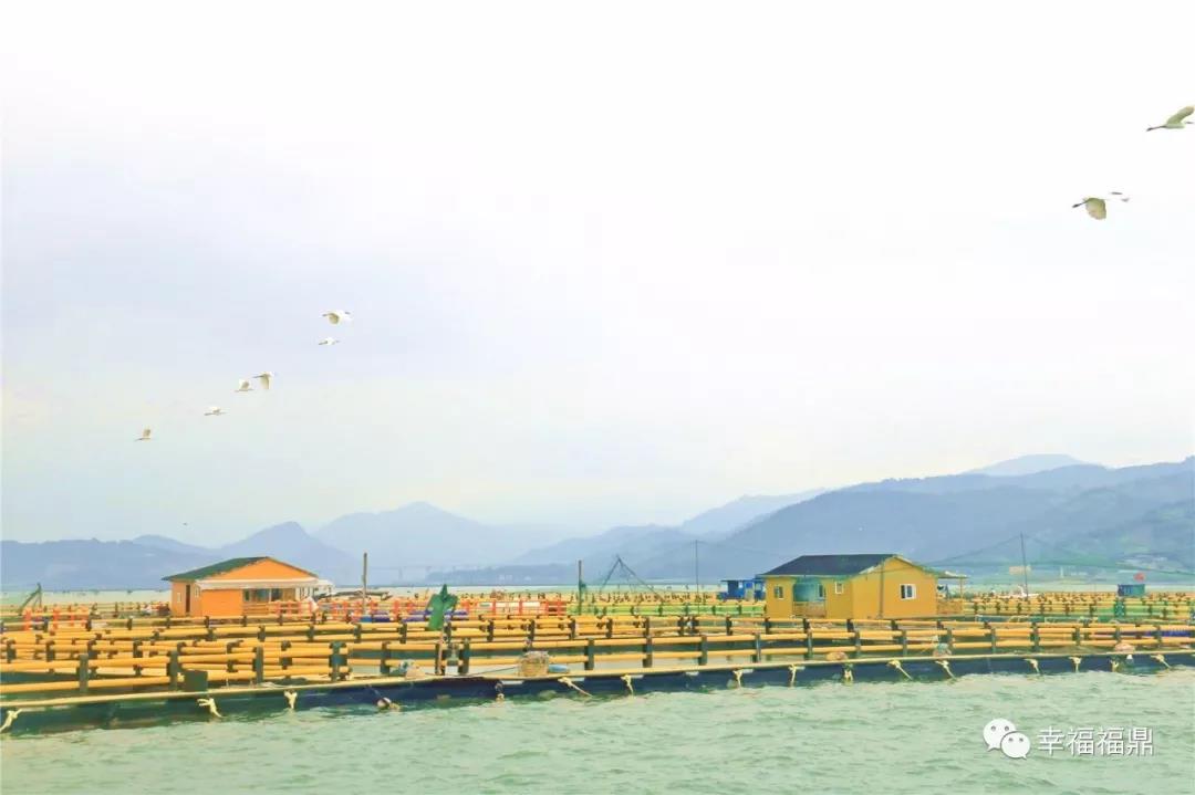 污水直排？不存在的！前岐鎮(zhèn)海上廁所革命杠杠的