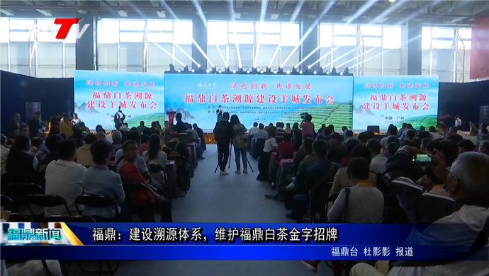 福鼎：建設溯源體系，維護福鼎白茶金字招牌