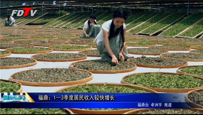 福鼎：1—3季度居民收入較快增長
