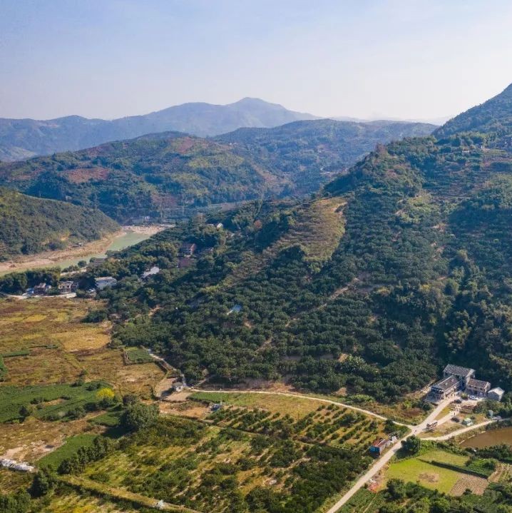 鄉村振興的路上，前岐鎮一路瓜果飄香、綠意盎然