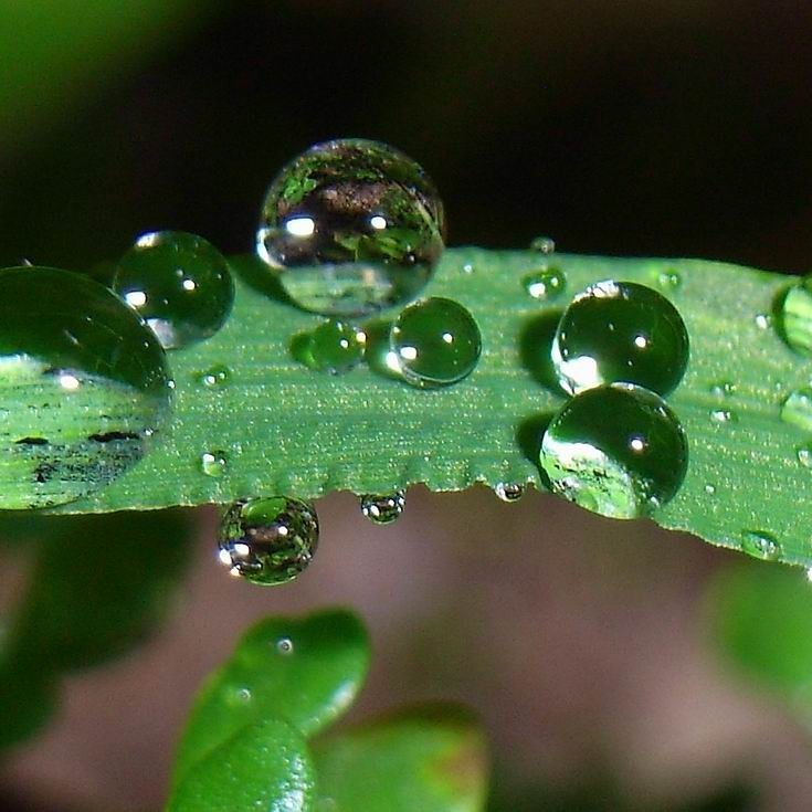 剛剛發(fā)布！未來三天！繼續(xù)人工增雨！