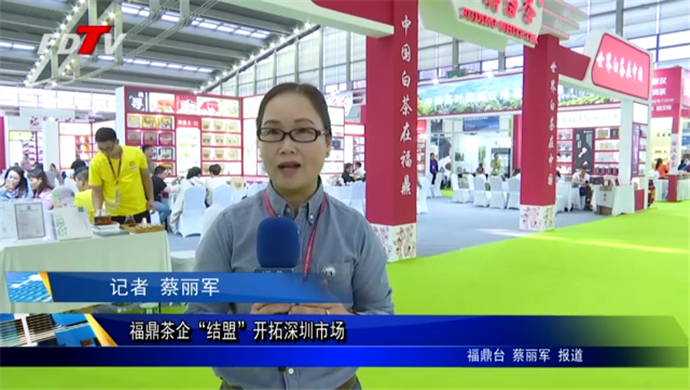 福鼎茶企“結盟”開拓深圳市場
