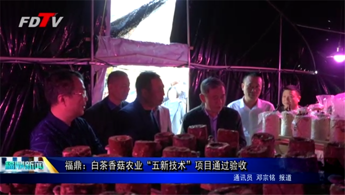 福鼎：白茶香菇農業“五新技術”項目通過驗收