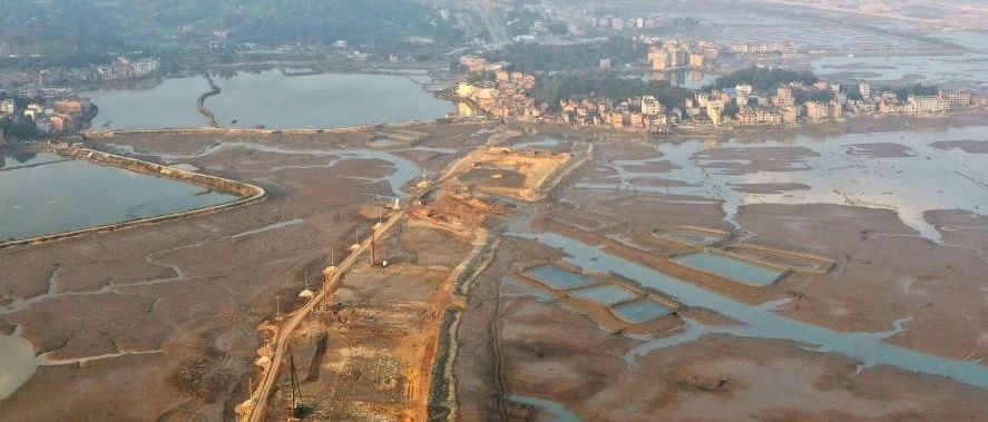 濱海大道二期工程總量已完成過(guò)半
