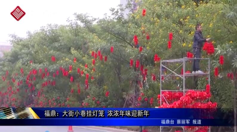 【網絡中國節·春節】福鼎：大街小巷掛燈籠 濃濃年味迎新年