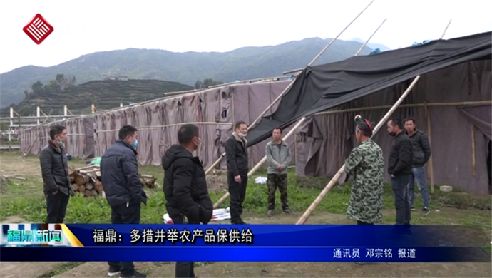 福鼎：多措并舉農產品保供給