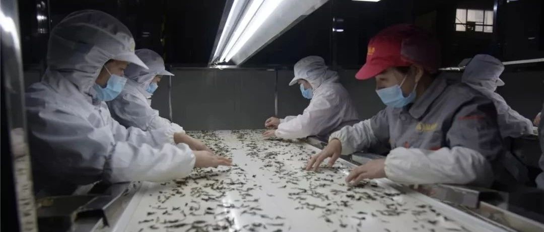 防疫生產齊頭并進，福鼎有序推進企業復工
