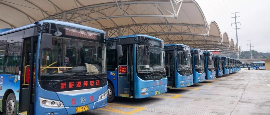 城區公交逐步“解禁”，明日起恢復3條公交線路，乘坐要注意……