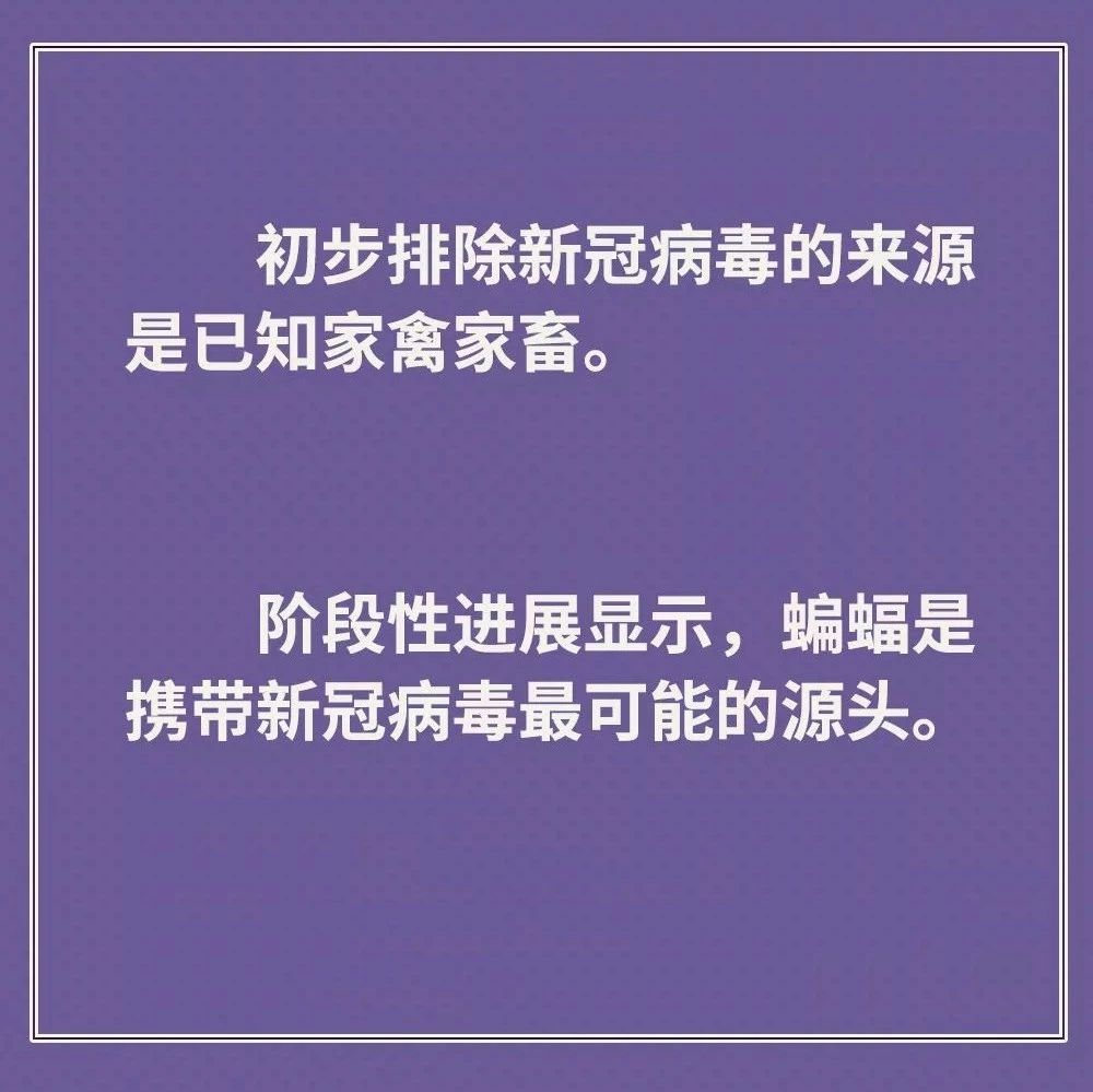 雞鴨會傳播病毒？疫苗研究得怎樣？抗疫最新信息，你要知道