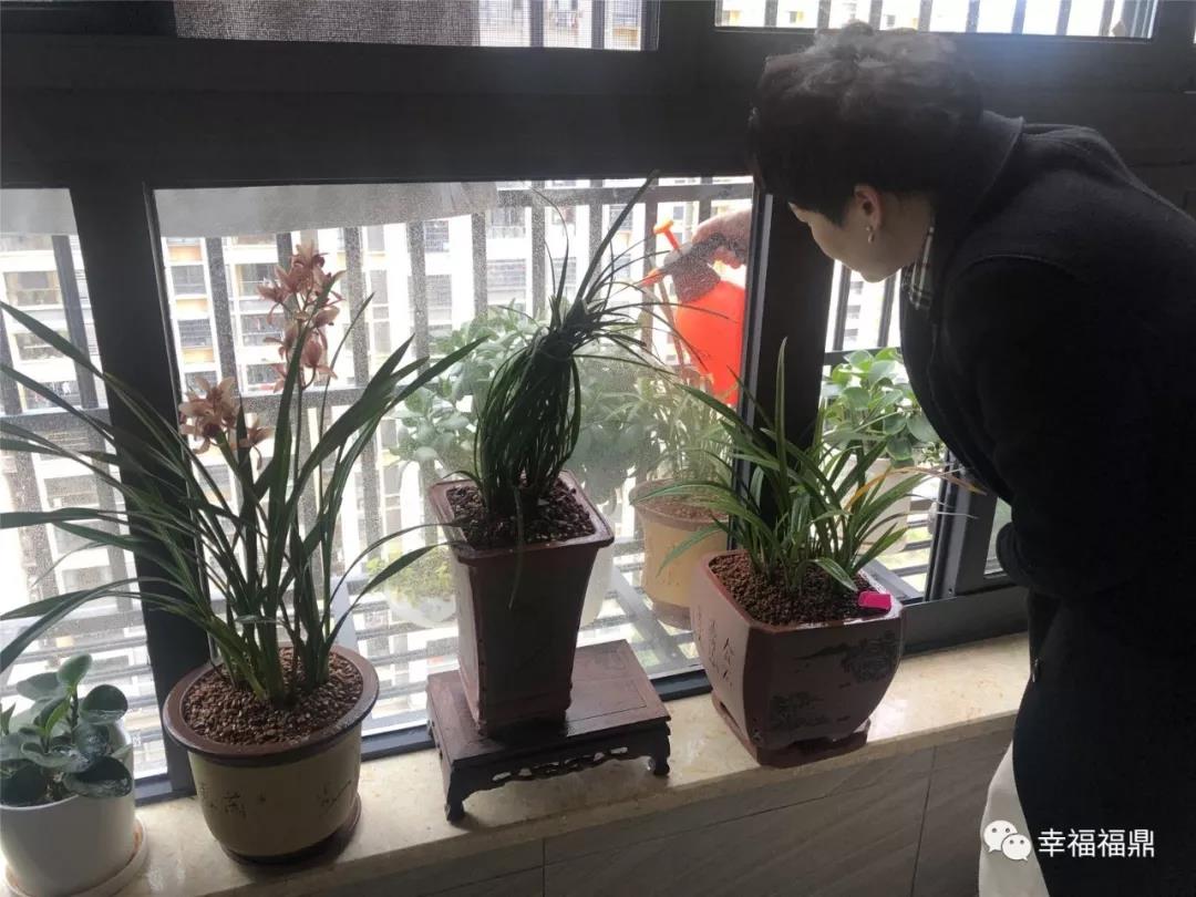 宅家無聊嗎？不！愛生活的福鼎人在家這樣過……