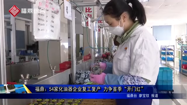 福鼎：54家化油器企業復工復產 力爭首季“開門紅”