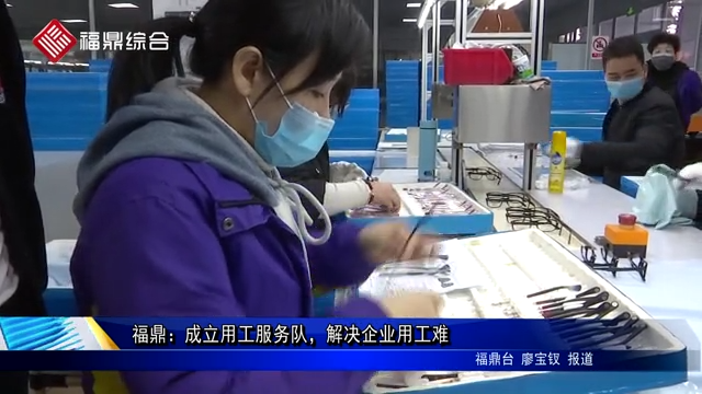 福鼎：成立用工服務隊，解決企業用工難