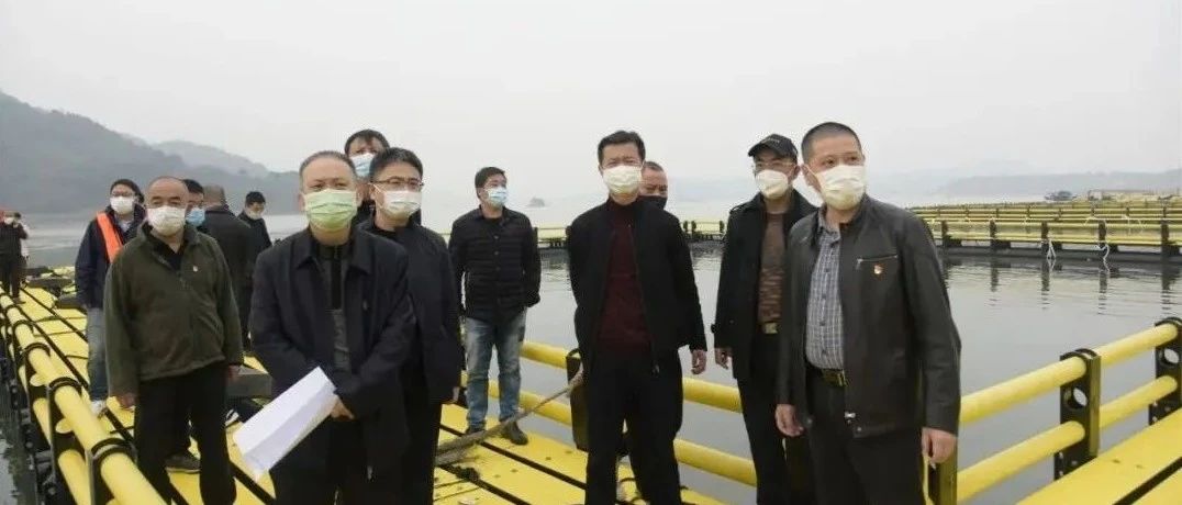 劉振輝、袁華軍海上調研，關注了這些……