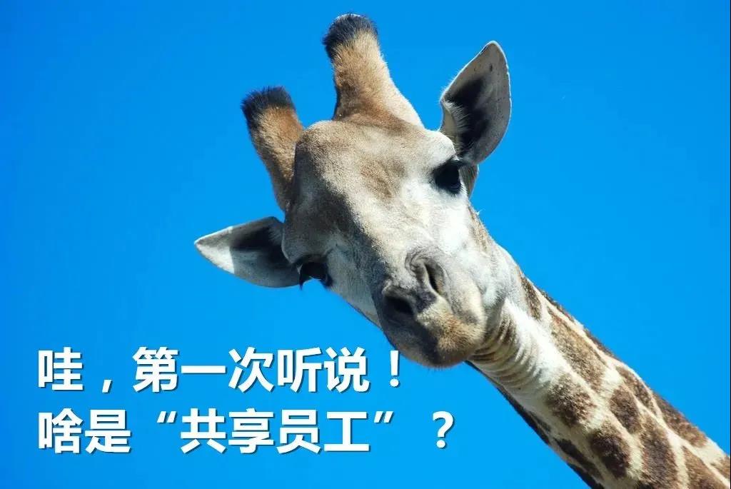 神操作！“跨界共享”，酒店員工搞起了電子設備！