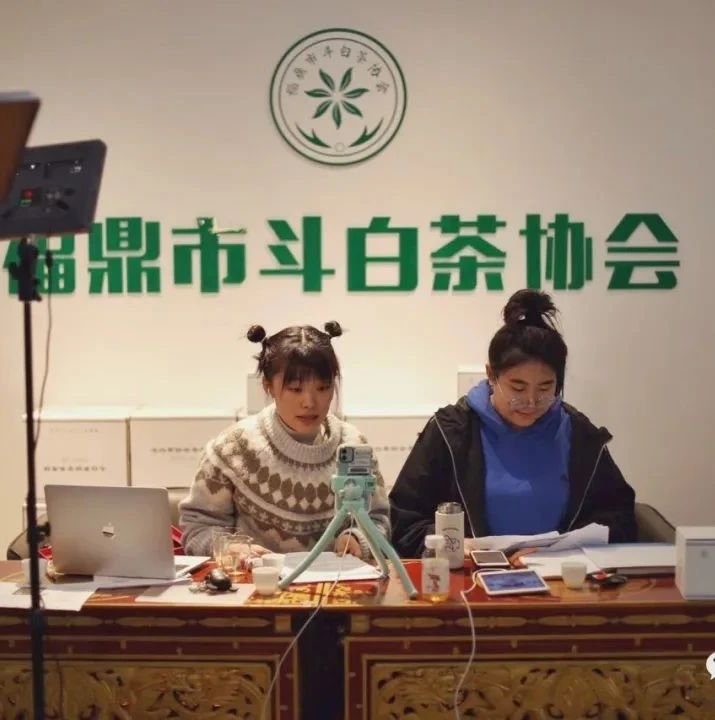 這個95后主播真特別，線上24小時直播推介福鼎白茶