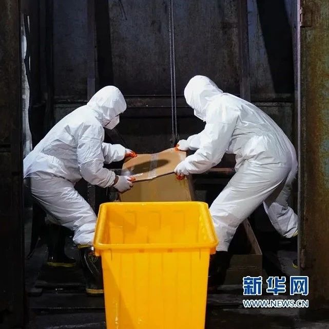 病區的醫療垃圾都去哪了？