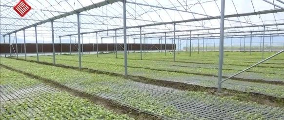 村里來了鄉村振興幫扶工作隊，他們來干啥？