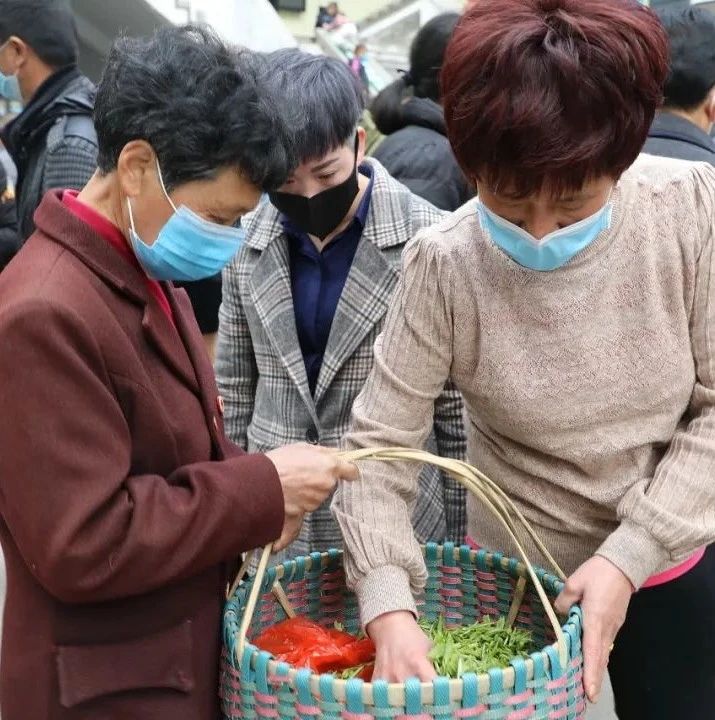 茶青交易市場開市了，這份交易須知務必先看看！