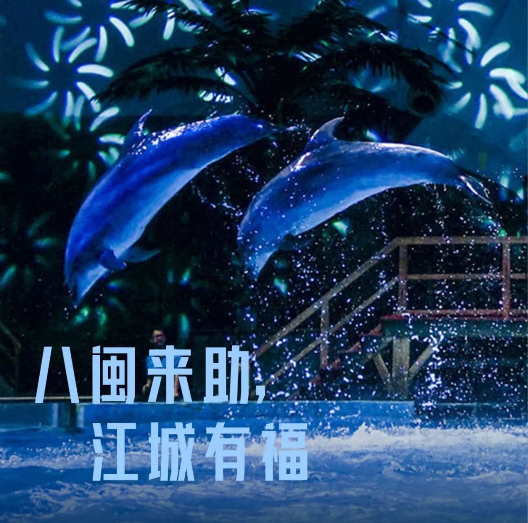 31張武漢城市名片，致謝每一位拼過命的英雄，咱們福建的名片是——
