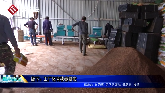 店下：工廠化育秧春耕忙