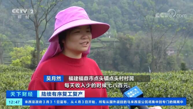 [天下財經]陸續有序復工復產 直播電商開銷路 助力白茶行業復工復產