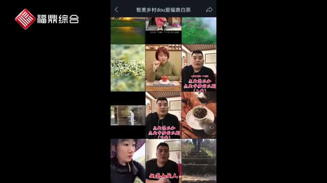 【抖音、短視頻】《dou愛福鼎白茶》
