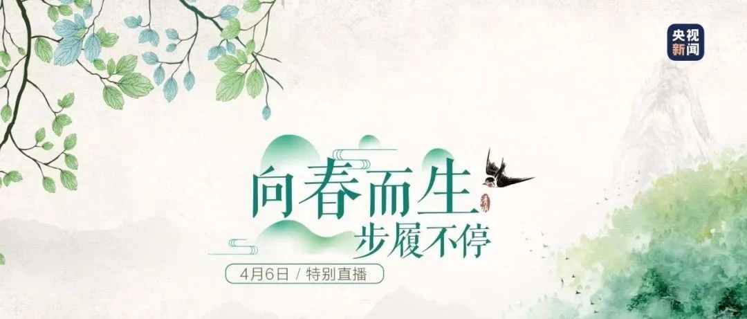福鼎春天的色彩，“闖進”央視直播節目……