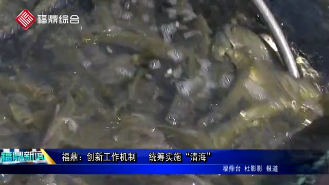 福鼎：創(chuàng)新工作機制　 統(tǒng)籌實施“清海”