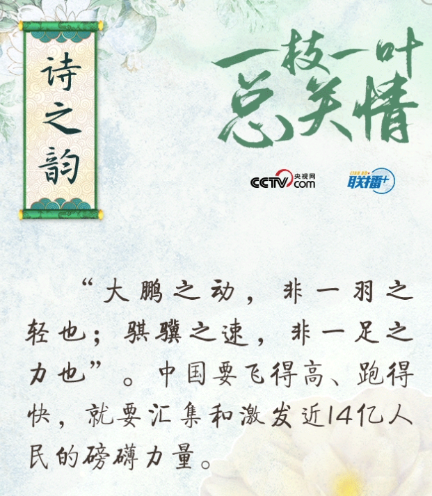 聯(lián)播+ | 一枝一葉總關情·詩之韻