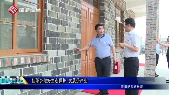 佳陽鄉做好生態保護 發展茶產業