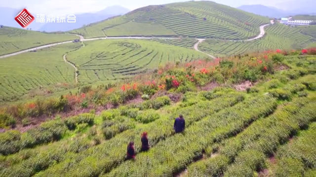 佳陽紅色畬鄉旅游帶
