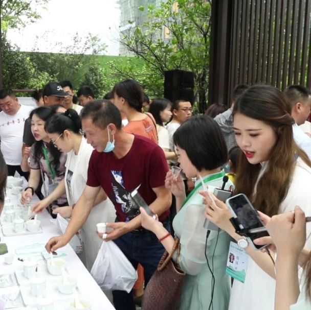 這場斗茶賽它只為白茶珍品——“白毫銀針”而來！