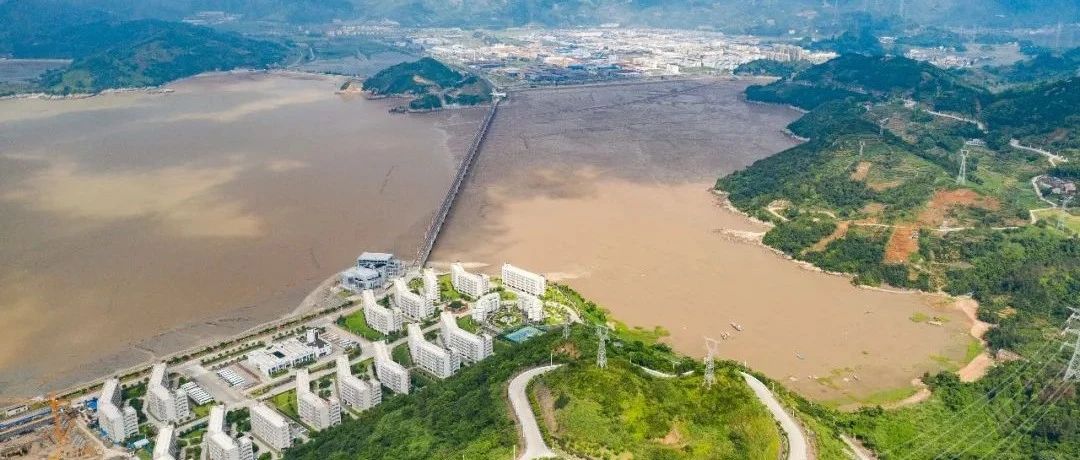 2019年福鼎專利申請總量達727件，位居寧德前列
