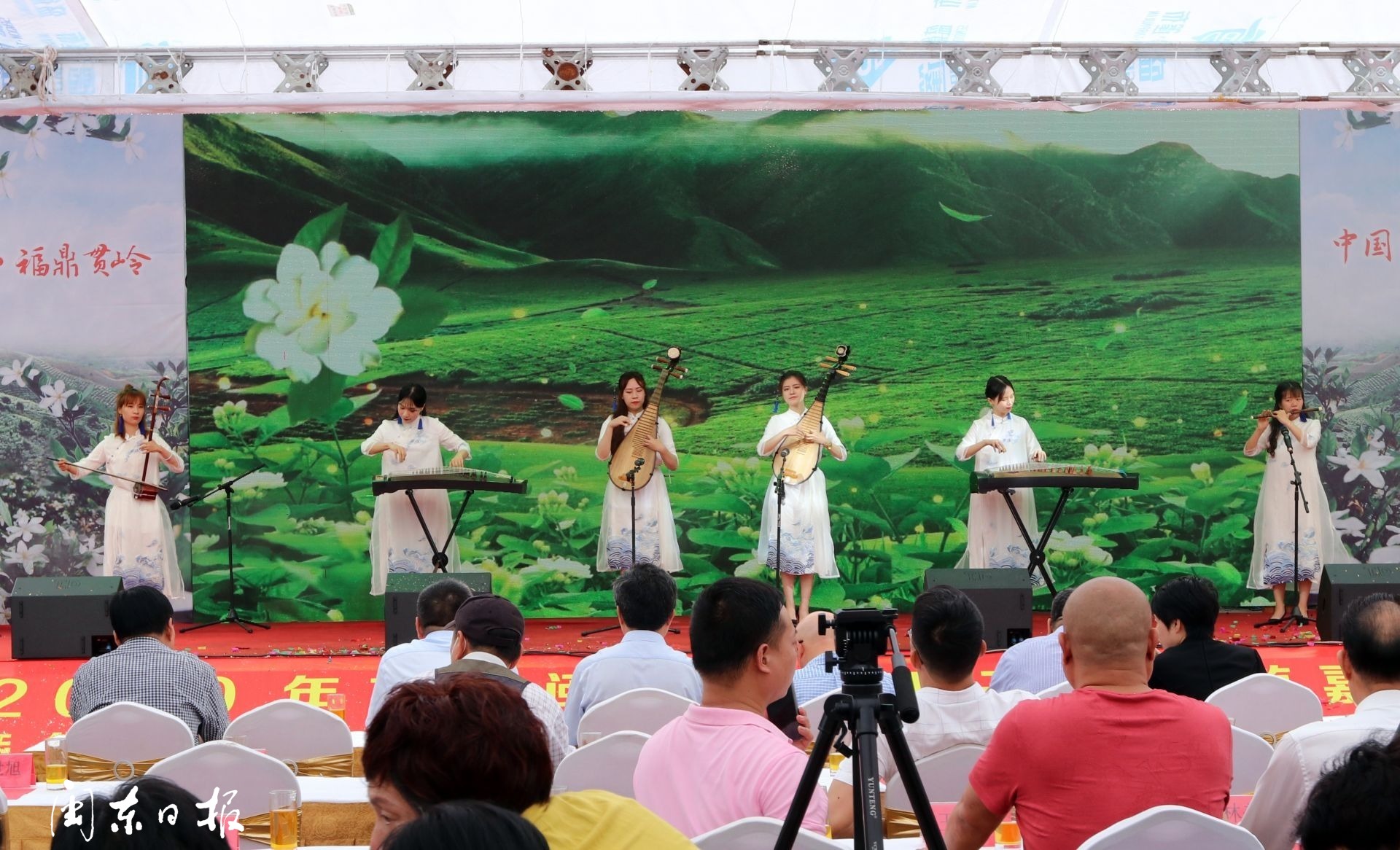 福鼎梔子花農旅文化節開幕！