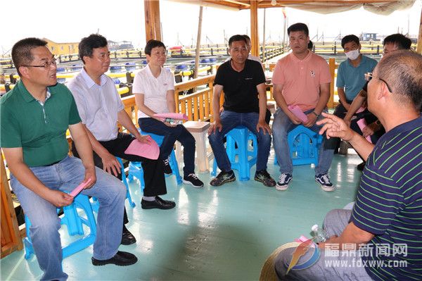 陳梅一行來鼎調研海上養殖綜合整治工作