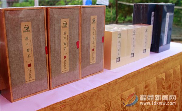 多款梔子產品亮相梔子花農旅文化節