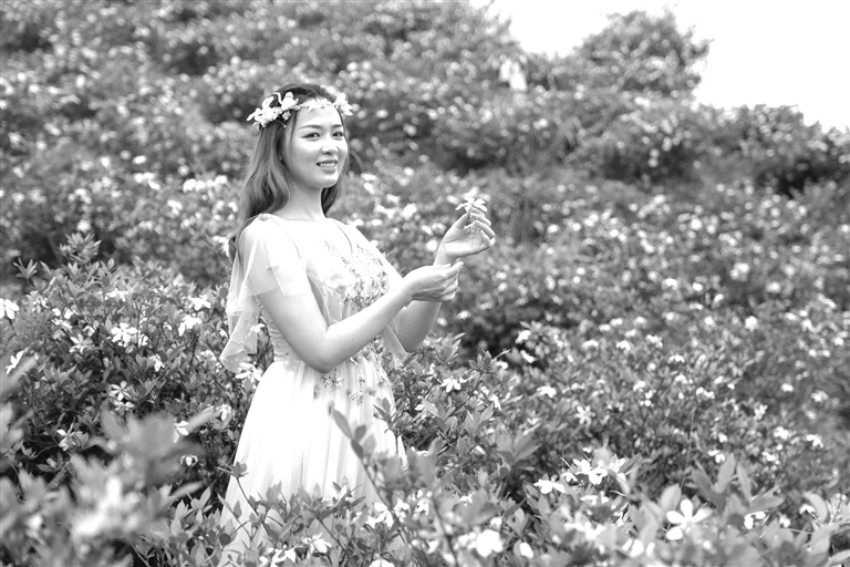 閩浙邊界首屆梔子花旅游嘉年華暨第七屆中國福鼎（貫嶺）梔子花農旅文化節在貫嶺鎮茗洋村啟動