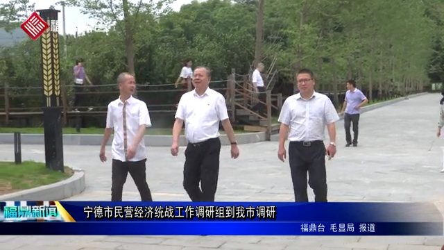 寧德市民營經濟統戰工作調研組到我市調研