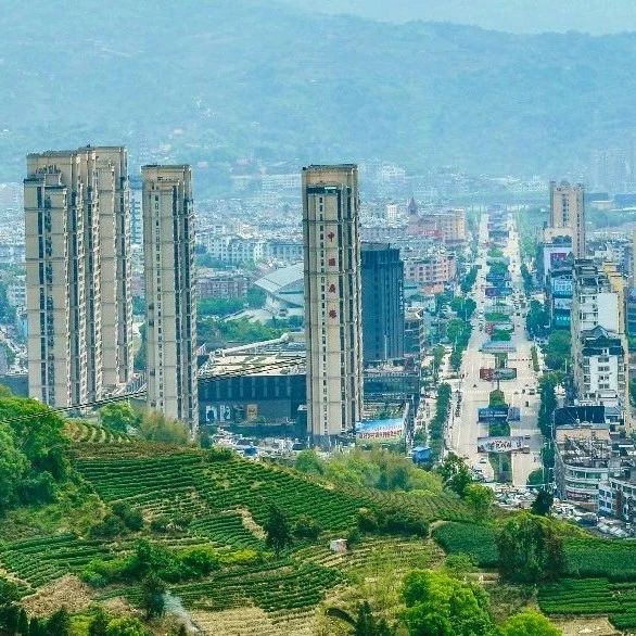 桐城街道城鄉攜手，共促“一體化”，激發新活力！