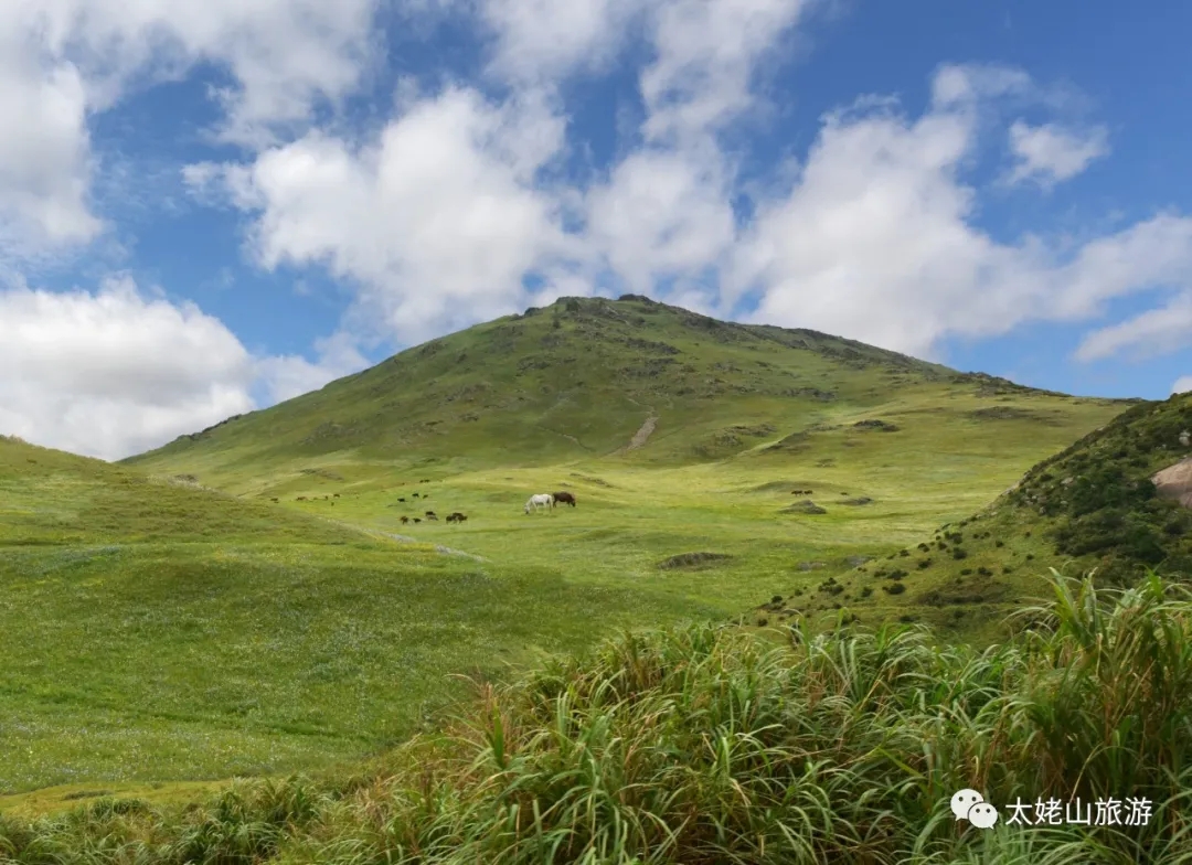 夏天來啦，我想和你一起去崳山島吹吹風