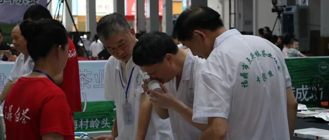 看直播，拿好禮！這周末，點頭有場斗茶賽等你來“觀戰”