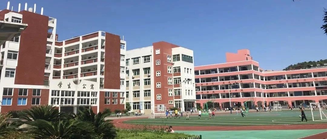 擴增學位、簡化入學手續……這些變化家長們get了嗎？