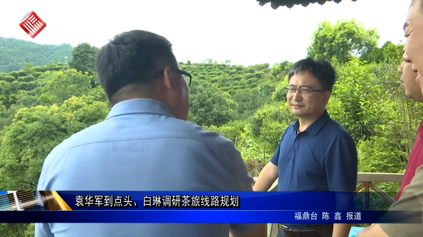 袁華軍到點頭、白琳調研茶旅線路規劃