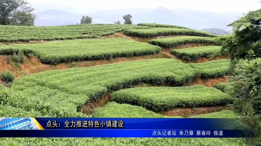 點(diǎn)頭：全力推進(jìn)特色小鎮(zhèn)建設(shè)