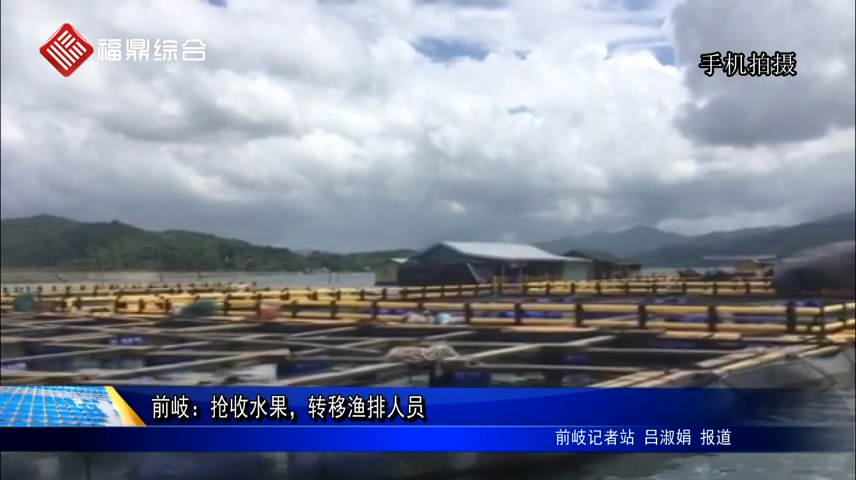 前岐：搶收水果，轉移漁排人員