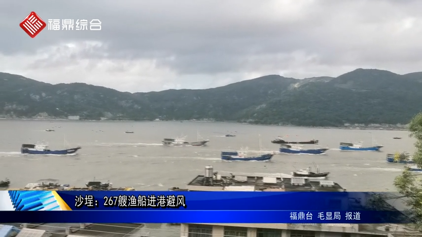 沙埕：267艘漁船進港避風