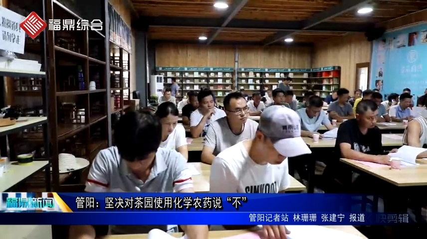 管陽：堅決對茶園使用化學農(nóng)藥說“不”