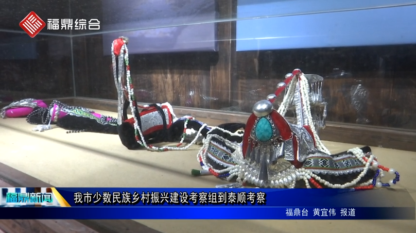 我市少數(shù)民族鄉(xiāng)村振興建設考察組到泰順考察