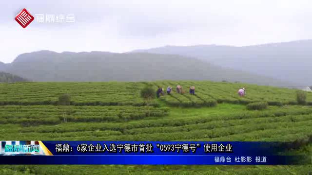福鼎：6家企業入選寧德市首批“0593寧德號”使用企業