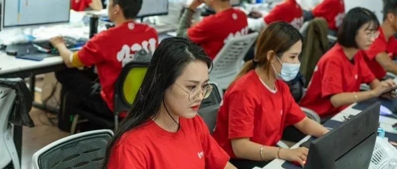 “雙11”將至，福鼎白茶蓄勢待發(fā)！
